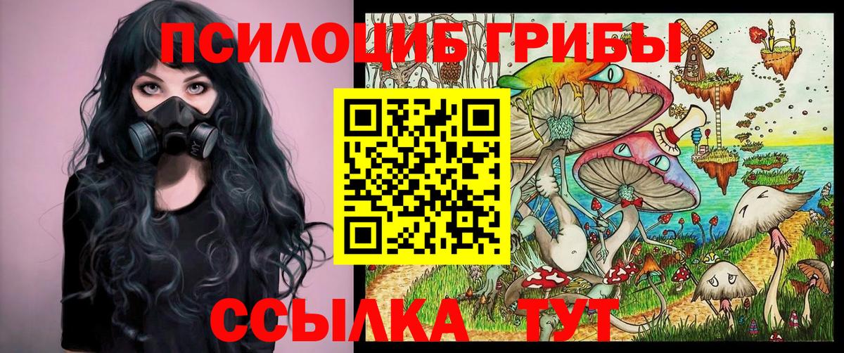 Галлюциногенные грибы Psilocybine cubensis  Вход с VPN  Галлюциногенные грибы Psilocybine cubensis  Протвино 
